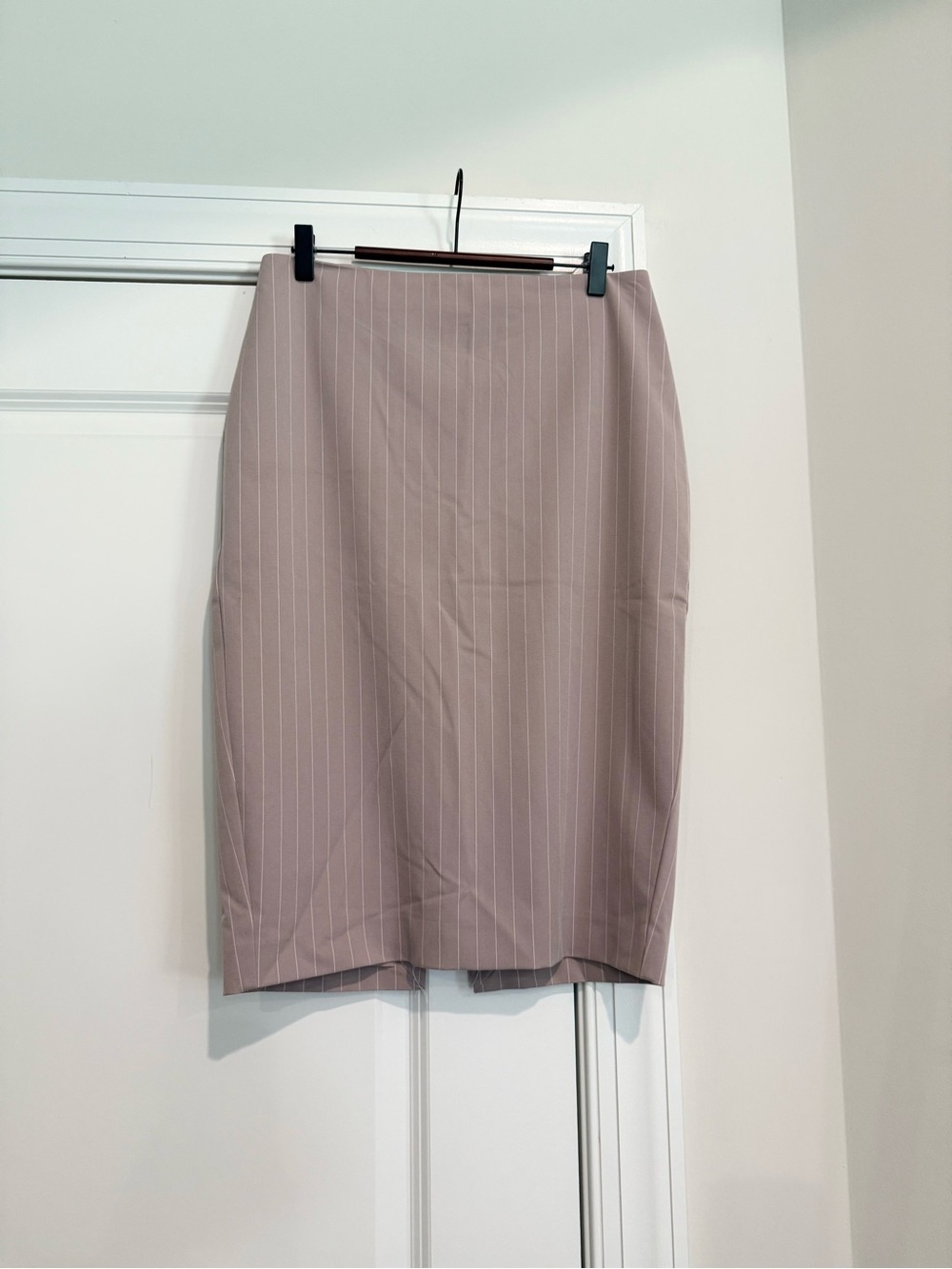 NWT Expressw Pinstripe Pencil Skirt in Light Mauve